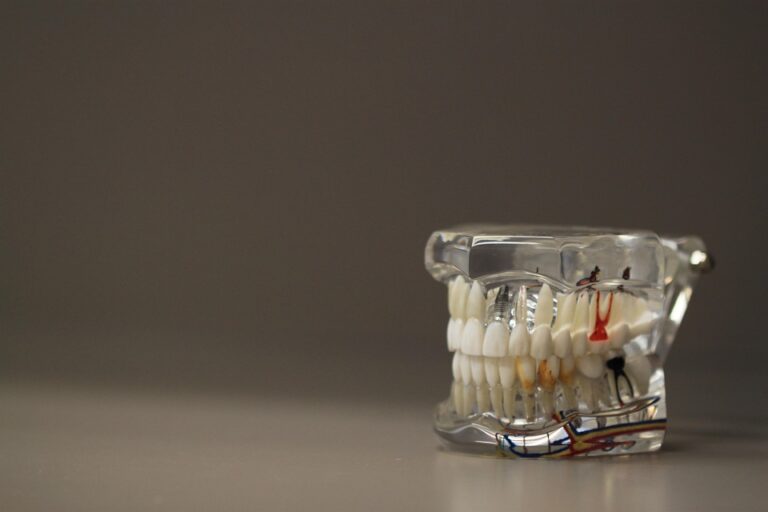 dentistry 668191 960 720