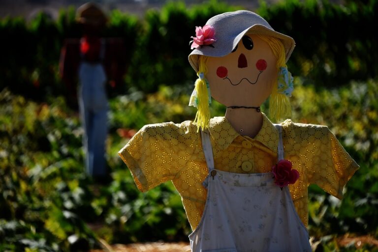 scarecrow 2813970 960 720